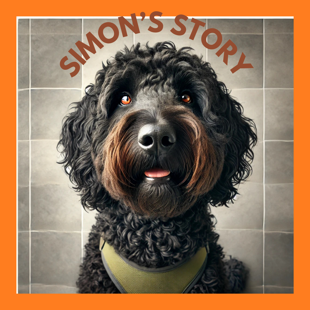 SIMON'S FIRST STORY