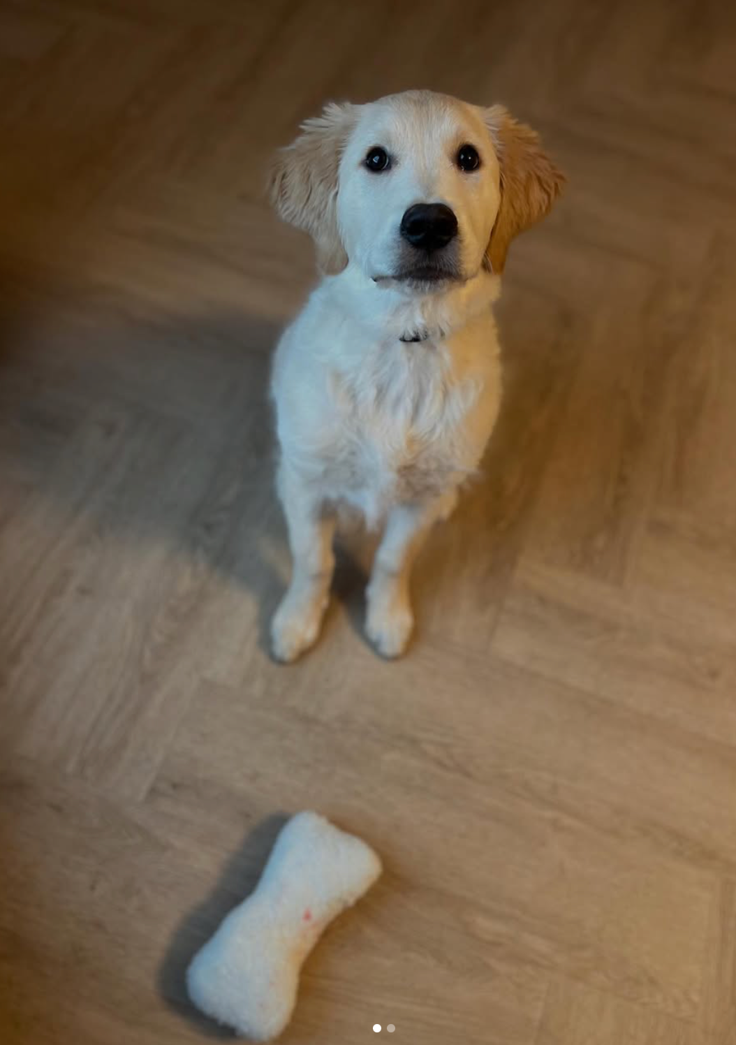 Trixie Pluche Bot Met Geluid Lamsvacht Look