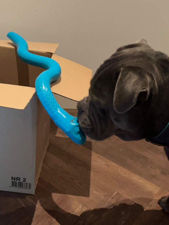 Trixie TPR Snackslang 59 cm – Buck’s Beste Vriend! 🐾🐍