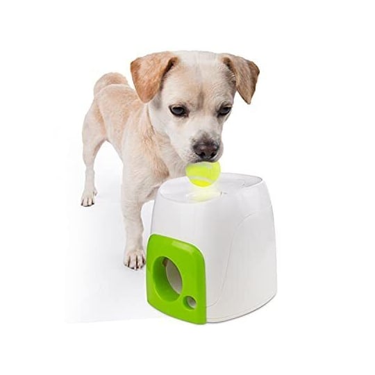 AFP INTERACTIVE FETCH 'N TREAT