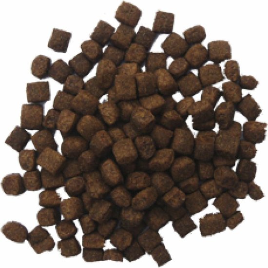 BF PETFOOD GEPERST LAM / RIJST PREMIUM 5 KG