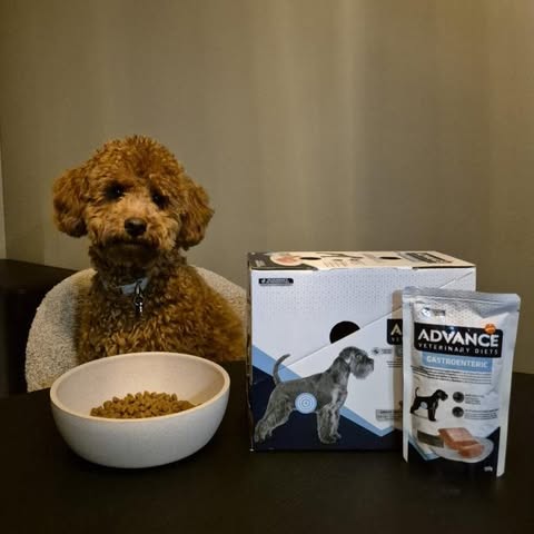 Advance Veterinary Diet Dog Gastroenteric Spijsvertering