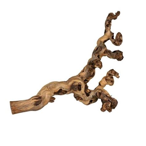 TRIXIE DRUIVENTAKKEN 40-60 CM 5 ST (390807)