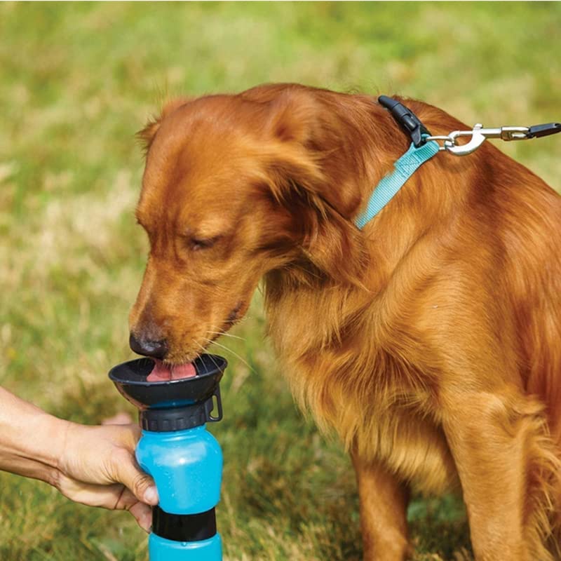 Aquadog drinkfles 553ml