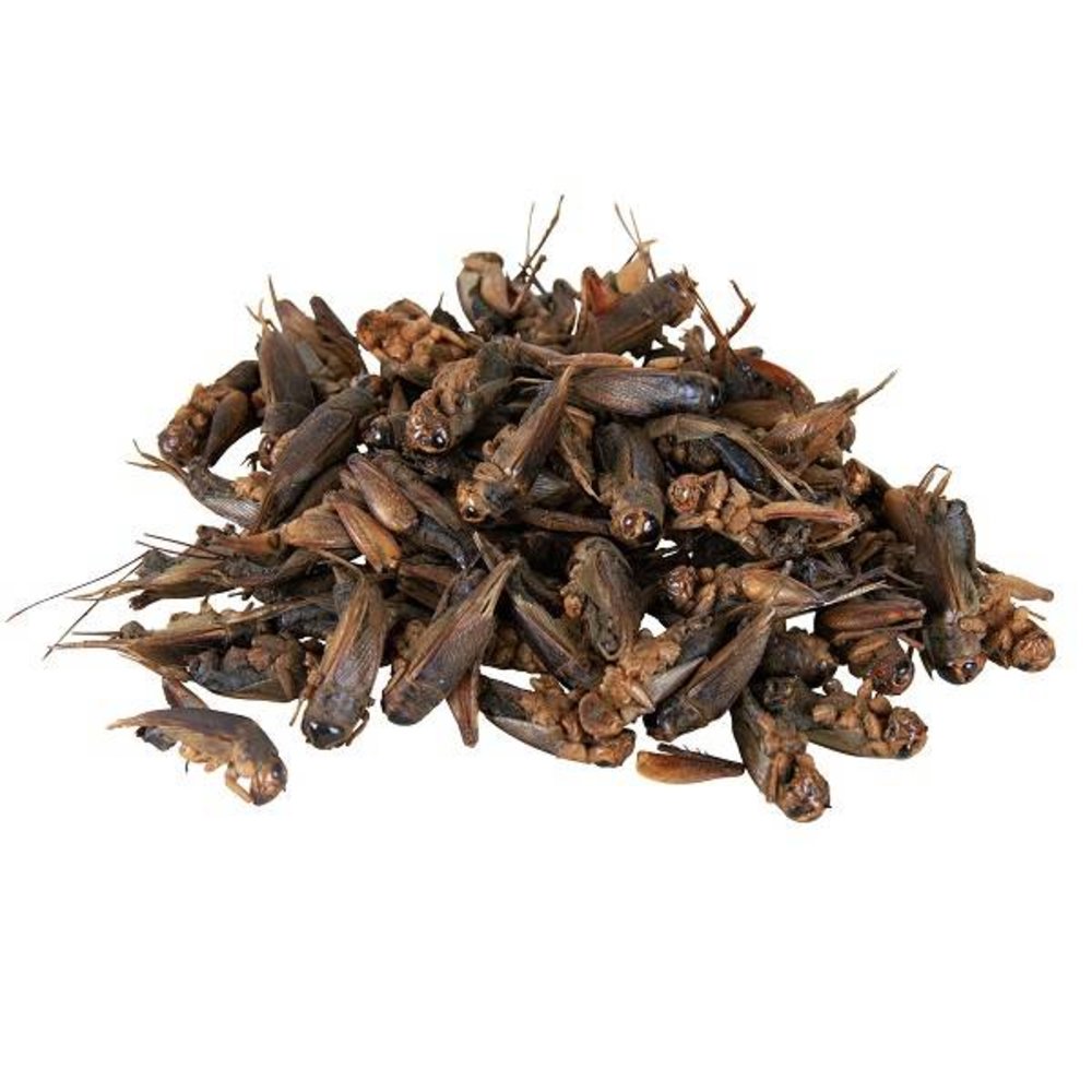 TRIXIE REPTILAND KREKELS GEDROOGD 6X25 GR (405702)