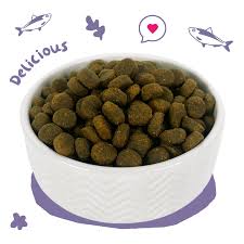 ASYPETS ADULT SENSATIONAL SALMON GRAANVRIJ 12 KG