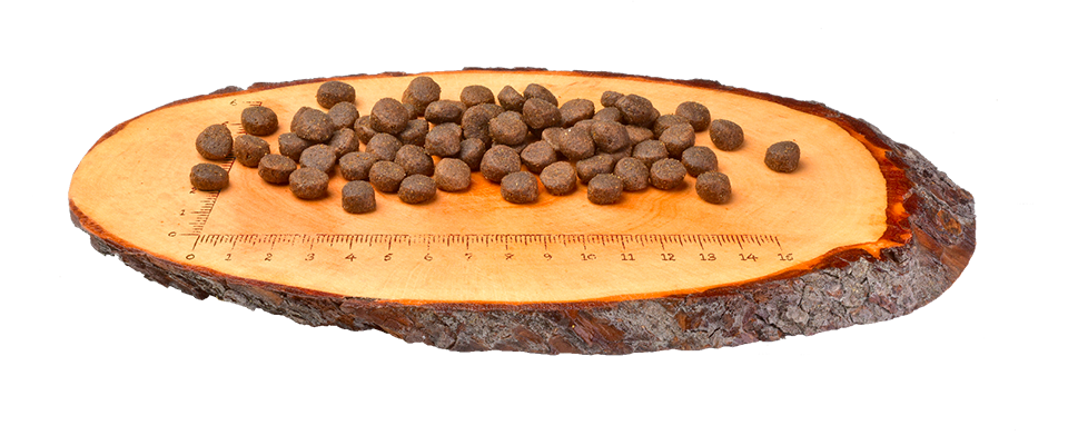 CARNILOVE DUCK / TURKEY LARGE BREED 6 KG