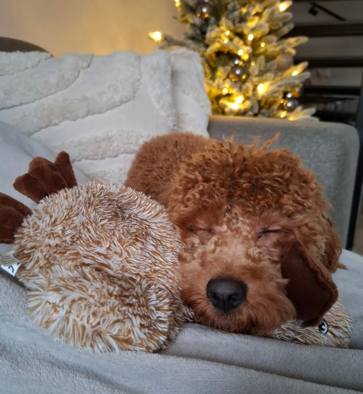 Trixie Pluche Eend Bruin
