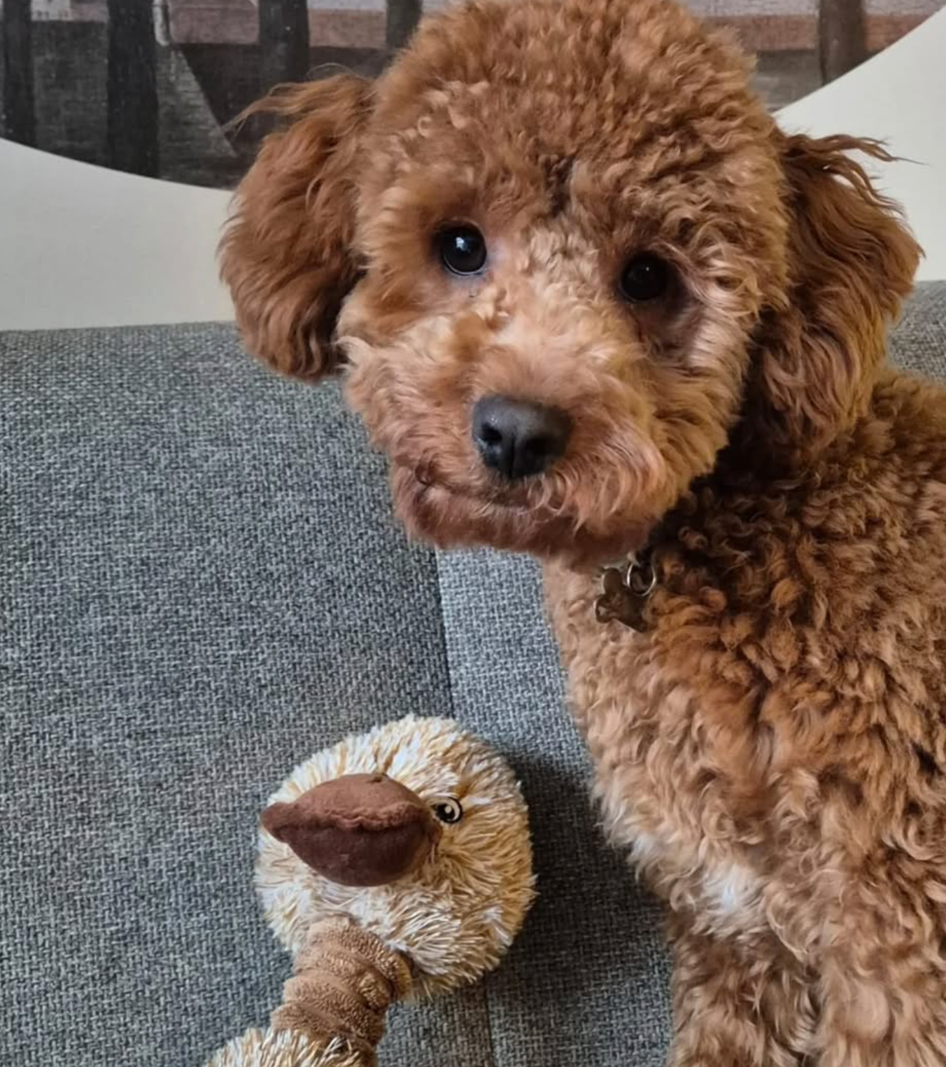 Trixie Pluche Eend Bruin