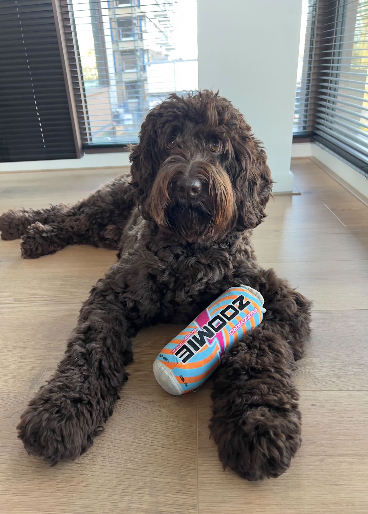 Fuzzyard Zoomie Energy Drink Pluche - Cody's favoriet! 🚀