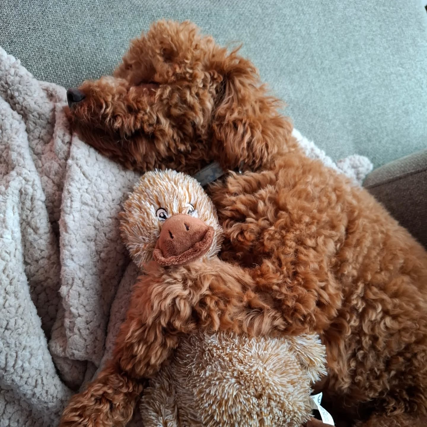 Trixie Pluche Eend Bruin