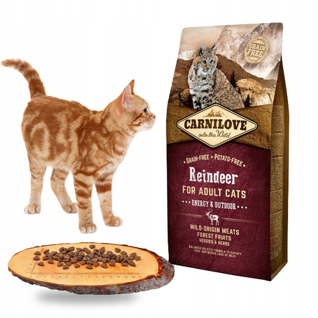 CARNILOVE REINDEER ENERGY / OUTDOOR 6 KG