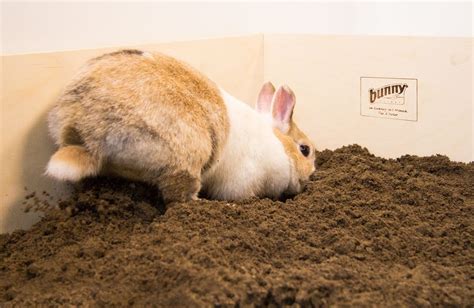BUNNY NATURE DIGGINGBOX GRAAFBOX 50X39X19,5 CM