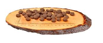 CARNILOVE SALMON ADULT 12 KG